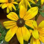 ヒメ日記 2025/08/28 13:33 投稿 よしこ 熟女の風俗最終章 立川店