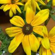 ヒメ日記 2025/09/27 17:13 投稿 よしこ 熟女の風俗最終章 立川店