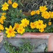 ヒメ日記 2026/01/10 16:31 投稿 よしこ 熟女の風俗最終章 立川店