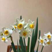 ヒメ日記 2026/01/18 16:53 投稿 よしこ 熟女の風俗最終章 立川店