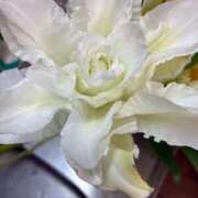 ヒメ日記 2026/03/14 10:24 投稿 よしこ 熟女の風俗最終章 立川店