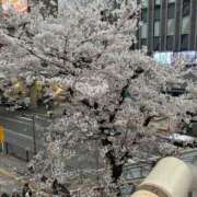 ヒメ日記 2026/03/29 13:43 投稿 よしこ 熟女の風俗最終章 立川店