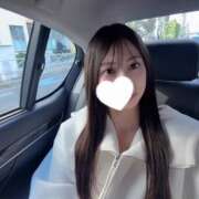 ヒメ日記 2025/11/14 12:58 投稿 ありす【中条あ〇み似清楚美女】 STELLA TOKYO－ステラトウキョウ－