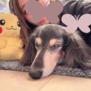 ヒメ日記 2025/09/08 17:09 投稿 れな ぐっすり山田　大阪店