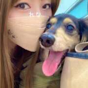 ヒメ日記 2025/09/17 19:49 投稿 れな ぐっすり山田　大阪店