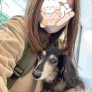 ヒメ日記 2025/10/21 18:09 投稿 れな ぐっすり山田　大阪店