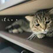 ヒメ日記 2025/11/01 14:40 投稿 れな ぐっすり山田　大阪店