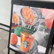 ヒメ日記 2025/08/07 22:29 投稿 みかん 熟女の風俗最終章 新潟店