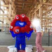 ヒメ日記 2025/10/11 19:19 投稿 陽木はるか ウルトラハピネス