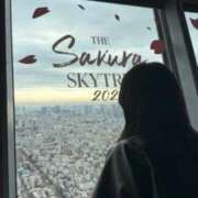 ヒメ日記 2026/03/19 22:23 投稿 陽木はるか ウルトラハピネス