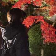 ヒメ日記 2025/12/12 03:49 投稿 まきの ヒルズスパ　梅田＋