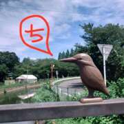 ヒメ日記 2025/07/21 18:07 投稿 ちえり 美熟女専科白夜