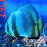 ヒメ日記 2025/07/24 09:48 投稿 ちえり 美熟女専科白夜