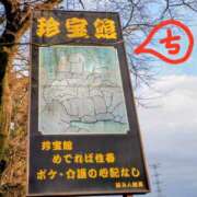 ヒメ日記 2025/08/03 12:55 投稿 ちえり 美熟女専科白夜