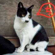 ヒメ日記 2025/08/10 13:12 投稿 ちえり 美熟女専科白夜