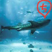 ヒメ日記 2025/08/13 12:56 投稿 ちえり 美熟女専科白夜