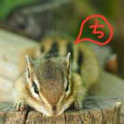 ヒメ日記 2025/08/16 13:10 投稿 ちえり 美熟女専科白夜