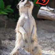 ヒメ日記 2025/08/23 14:00 投稿 ちえり 美熟女専科白夜