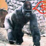 ヒメ日記 2025/08/29 13:37 投稿 ちえり 美熟女専科白夜