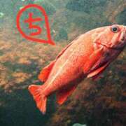 ヒメ日記 2025/08/30 12:55 投稿 ちえり 美熟女専科白夜