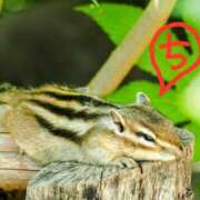 ヒメ日記 2025/09/03 11:20 投稿 ちえり 美熟女専科白夜