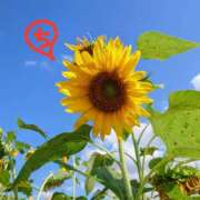 ヒメ日記 2025/09/10 12:57 投稿 ちえり 美熟女専科白夜