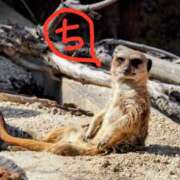 ヒメ日記 2025/09/14 12:35 投稿 ちえり 美熟女専科白夜