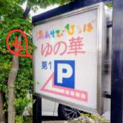 ヒメ日記 2025/09/17 14:05 投稿 ちえり 美熟女専科白夜