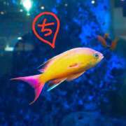 ヒメ日記 2025/10/17 10:59 投稿 ちえり 美熟女専科白夜