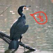 ヒメ日記 2025/10/18 12:31 投稿 ちえり 美熟女専科白夜