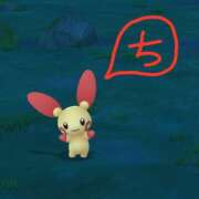 ヒメ日記 2025/11/22 14:02 投稿 ちえり 美熟女専科白夜