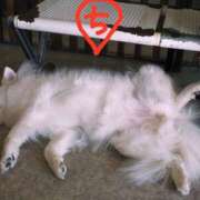 ヒメ日記 2025/12/27 14:31 投稿 ちえり 美熟女専科白夜