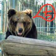 ヒメ日記 2025/12/28 14:02 投稿 ちえり 美熟女専科白夜