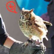 ヒメ日記 2026/01/03 13:08 投稿 ちえり 美熟女専科白夜