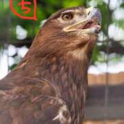 ヒメ日記 2026/01/09 14:22 投稿 ちえり 美熟女専科白夜