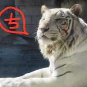 ヒメ日記 2026/01/25 14:24 投稿 ちえり 美熟女専科白夜