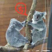 ヒメ日記 2026/02/28 13:12 投稿 ちえり 美熟女専科白夜