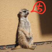 ヒメ日記 2026/03/13 13:59 投稿 ちえり 美熟女専科白夜