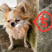 ヒメ日記 2026/03/28 14:15 投稿 ちえり 美熟女専科白夜