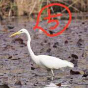 ヒメ日記 2026/04/01 12:46 投稿 ちえり 美熟女専科白夜