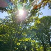 ヒメ日記 2025/06/29 16:06 投稿 しの 素人妻御奉仕倶楽部Hip's松戸店