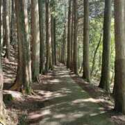 ヒメ日記 2025/09/25 07:49 投稿 しの 素人妻御奉仕倶楽部Hip's松戸店