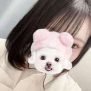 ヒメ日記 2025/08/01 19:20 投稿 なる 熊本しこたまクリニック