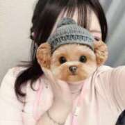 ヒメ日記 2025/10/02 19:50 投稿 なる 熊本しこたまクリニック