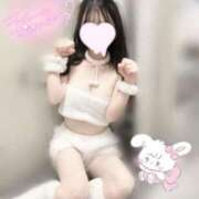 カグヤ 明日から?? エピソード(品川)