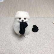 ヒメ日記 2025/12/05 22:16 投稿 るしあ 姫コレクション 高崎前橋店