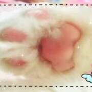 ヒメ日記 2025/07/20 09:41 投稿 みくる ヴィヴィッド・クルーマダム・セカンドヴァージン十三店