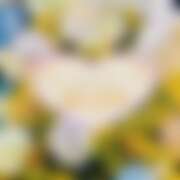 ヒメ日記 2025/08/19 19:04 投稿 みくる ヴィヴィッド・クルーマダム・セカンドヴァージン十三店