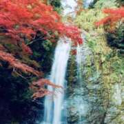 ヒメ日記 2025/11/05 14:23 投稿 みくる ヴィヴィッド・クルーマダム・セカンドヴァージン十三店