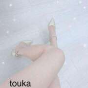 ヒメ日記 2025/06/29 20:46 投稿 とうか 東京リップ 渋谷店